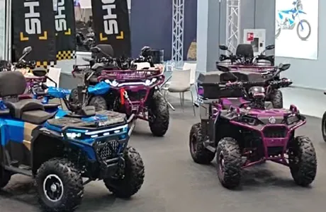 المعارض في روسيا